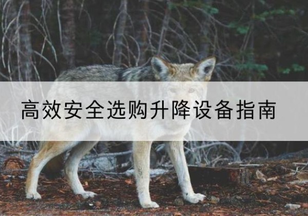 象山升降货梯厂家推荐-*安全选购升降设备指南