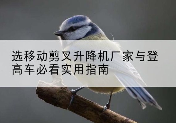 象山电动升降机厂家-选移动剪叉升降机厂家与登高车必看实用指南